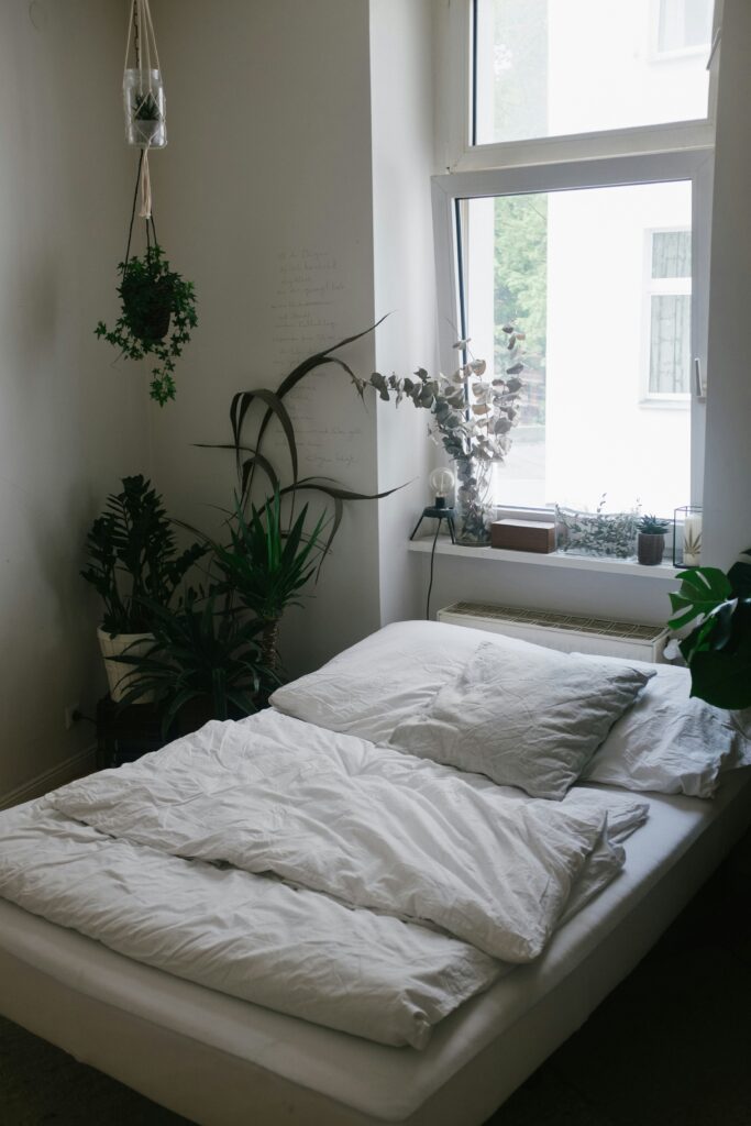 Bedroom decor ideas with indoor plants and natural elements
